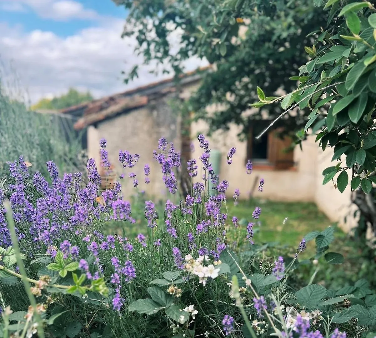 La Casa D'Opale, Maison De Vacances 14 Couchages Montauban 0*,